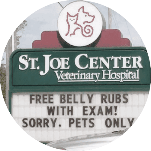 a funny veterinary hospital marquee sign - free belly rubs with exam! sorry, pets only