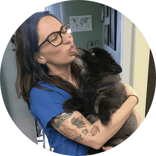 The author, Katie Sorrell, holding a puppy in a veterinary office