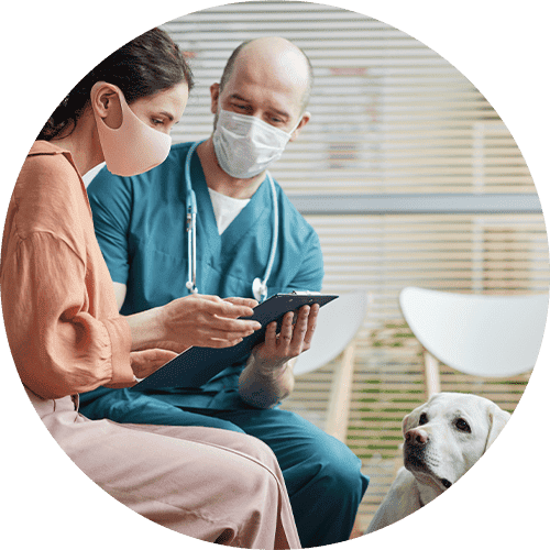 Image of a doctor showing a client information on a clipboard, while a golden retriever watches.