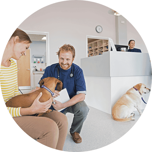A doctor greeting a patient in a veterinary practice waiting room