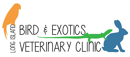 The logo for Long Island Birds & Exotics Veterinary Clinic