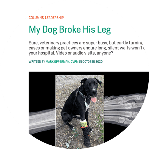 A screenshot of the "my dog broke his leg" article being referenced.