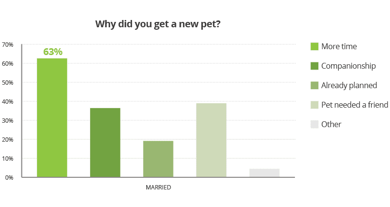 A bar graph showing different reasons that people answered to why they got a new pet.