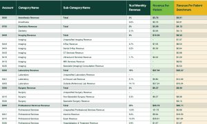 Appendix showing a list of services with percentage of monthly revenue, revenue per patient, and revenue per patient benchmark