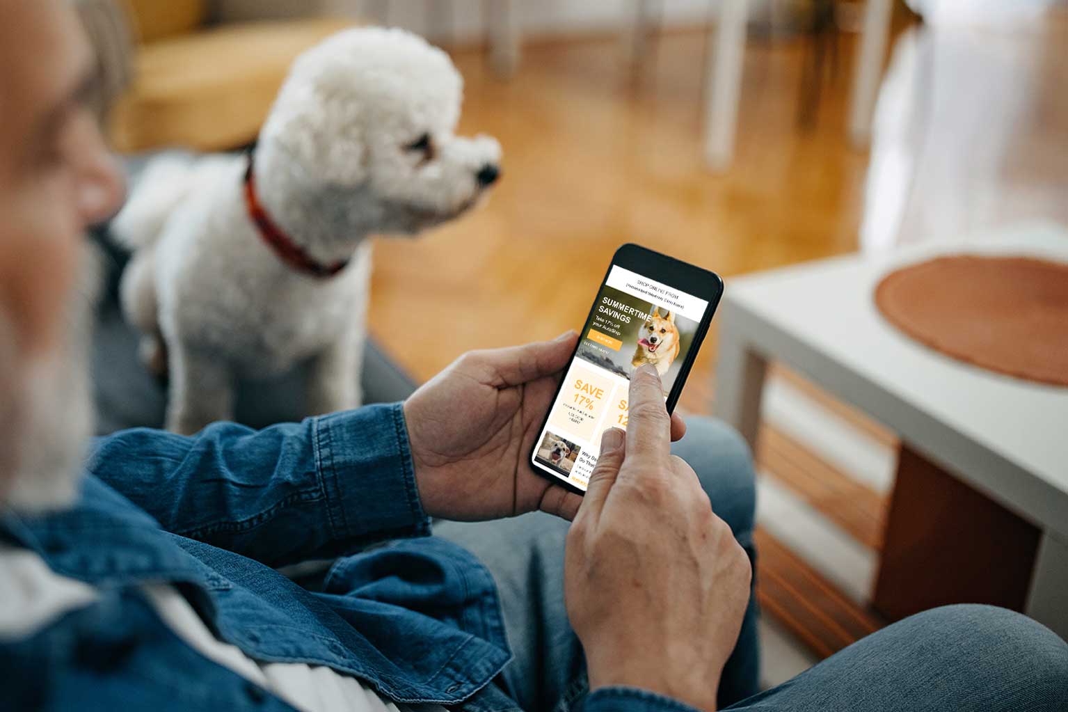 pet owner looking at a PetMail email on their mobile phone, with a white poodle-type dog in the background