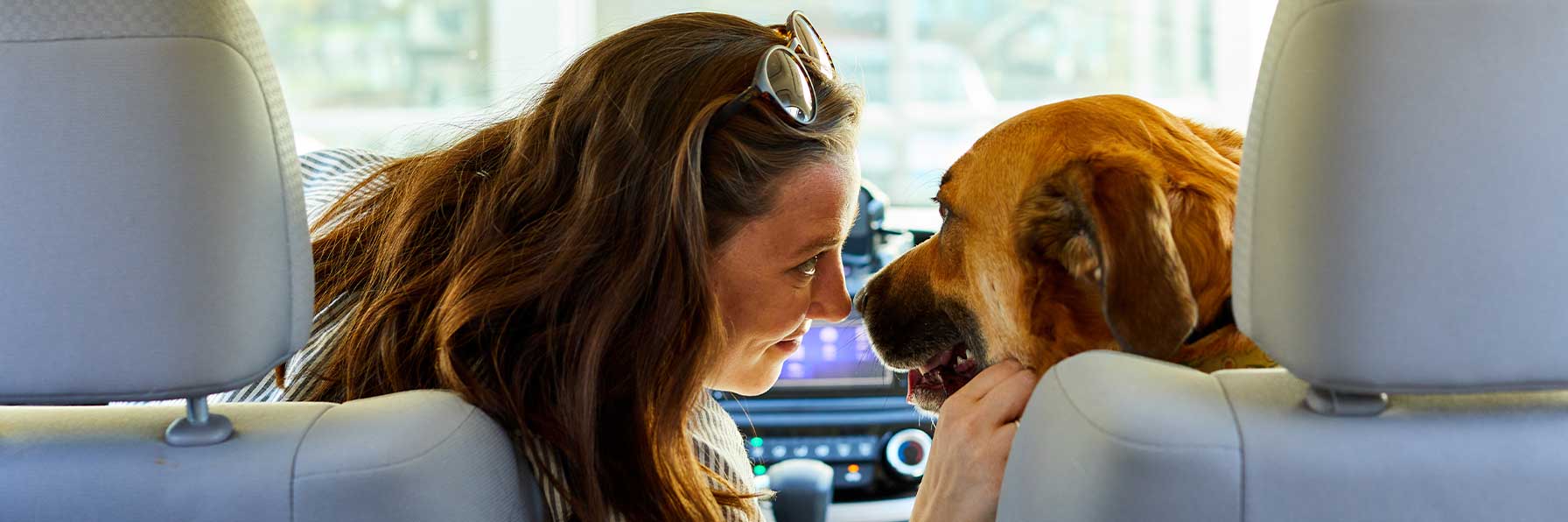 pet owner and dog in a car