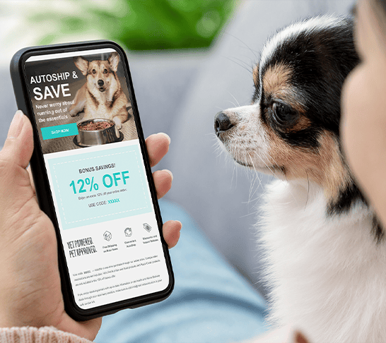 pet owner holding a mobile phone showing a PetMail email, with a small dog on their lap