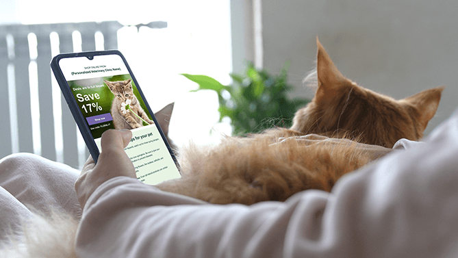 phone with PetMail person with orange cat on their lap, looking at their phone displaying a PetMail email