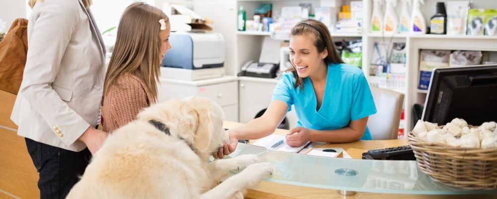 Receptionist greeting dog and people at veterinary front desk