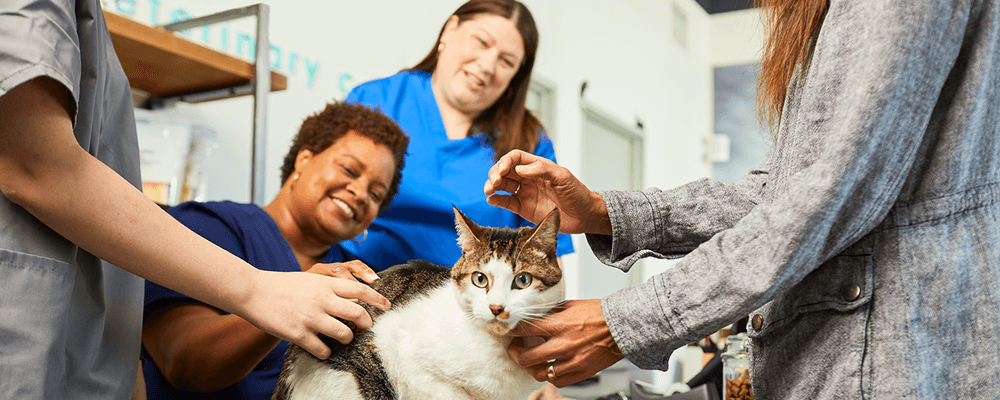 Veterinary staff with pet owners and their cat