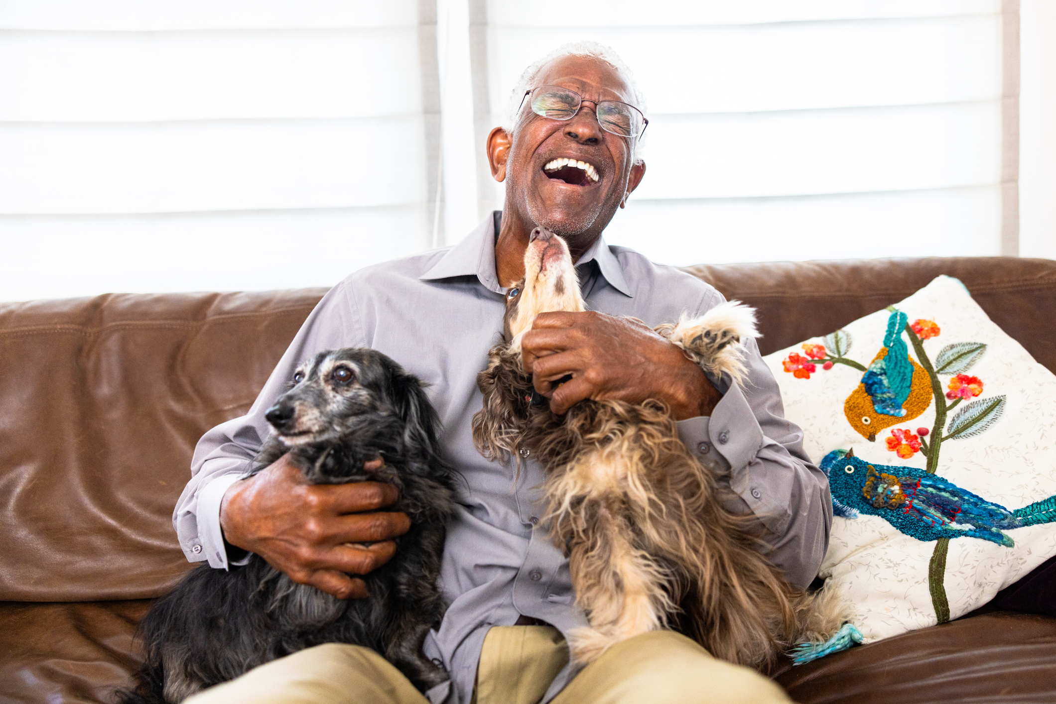 happy older black man sitting on a couch with 2 small dogs