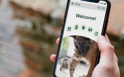 Vet2Pet is now free to Prescription Management customers