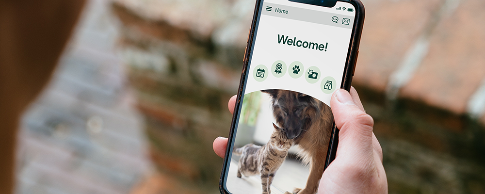 Vet2Pet now free, included with Vetsource Prescription Management - image shows pet owner using the Vet2Pet app