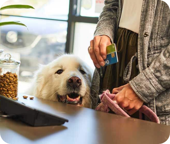 person with large dog at front desk holding a credit card