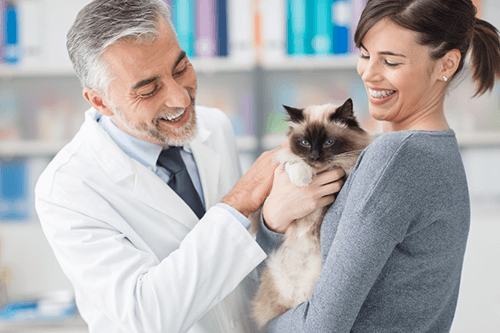 vet-cat-petowner happy older black man sitting on a couch with 2 small dogs