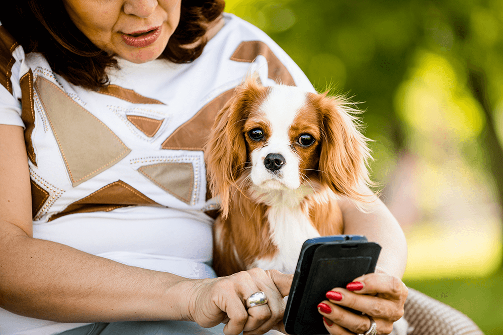 Older woman with spaniel on her lap looking at her phone