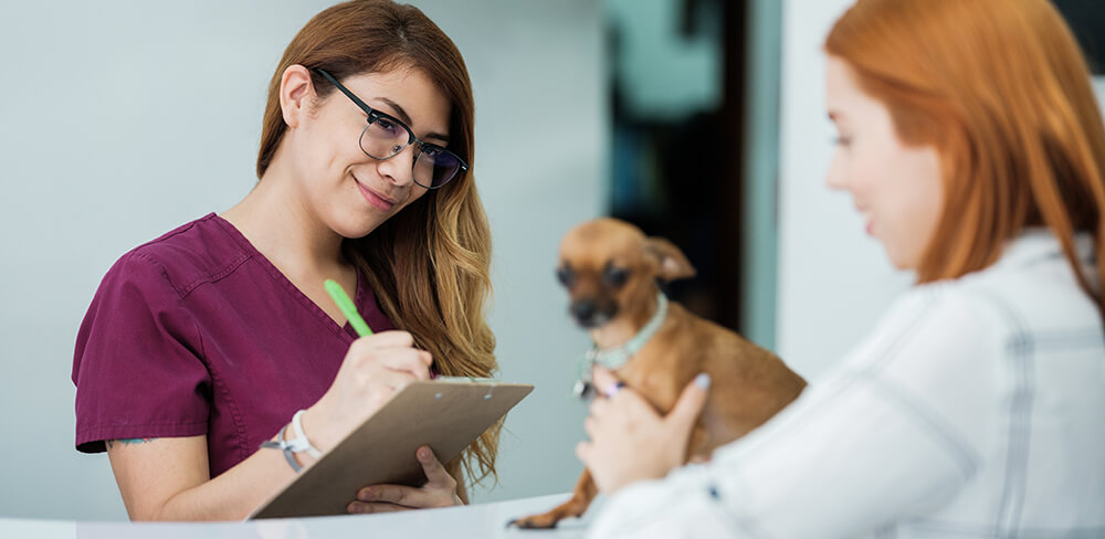 How to ease workloads for busy veterinary teams