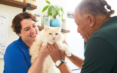 3 moves to engage clients in a changing veterinary market