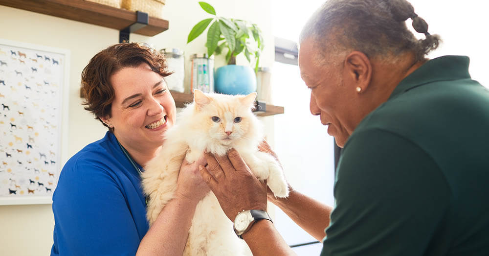 3 moves to engage clients in a changing veterinary market