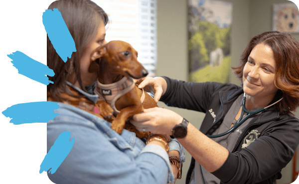 person with large dog at front desk holding a credit card