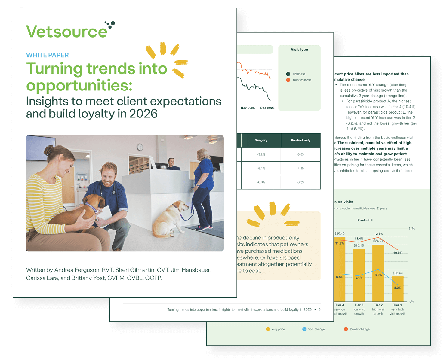 Graphic image showing sample pages from the white paper