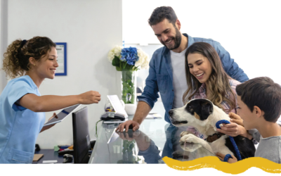 How veterinary practices can turn declining visits into sustainable growth