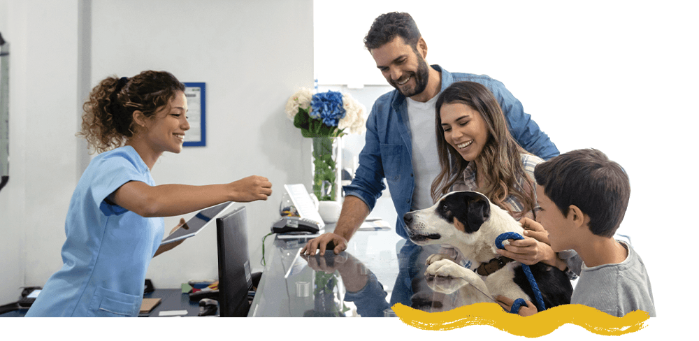 How veterinary practices can turn declining visits into sustainable growth