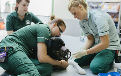 Better mental health starts with cultivating a culture of hope