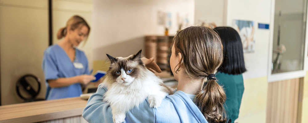 3 steps to take right now to prep for summer busy season