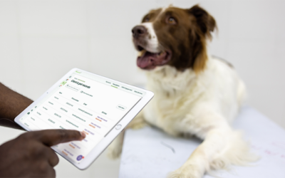 How to clean PIMS data for better client experiences