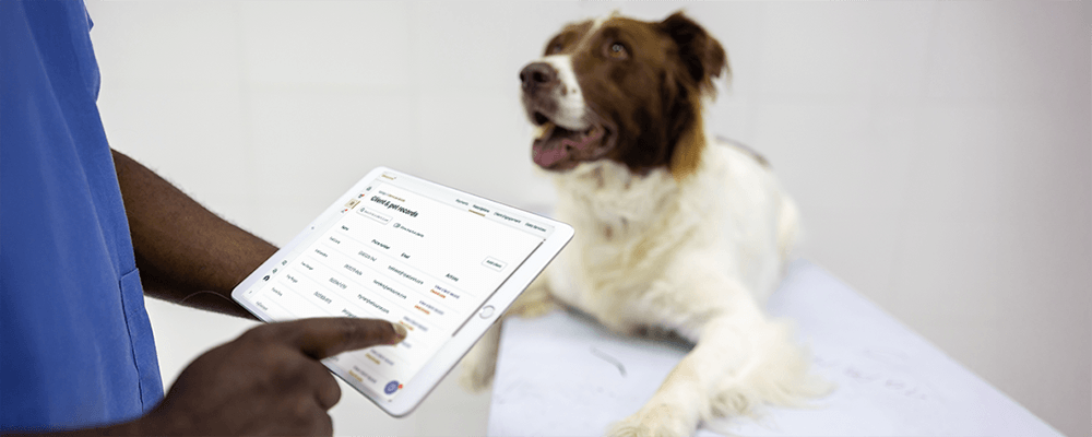 How to clean PIMS data for better client experiences