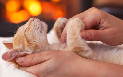 7 practical tips to prep for the busy holiday season